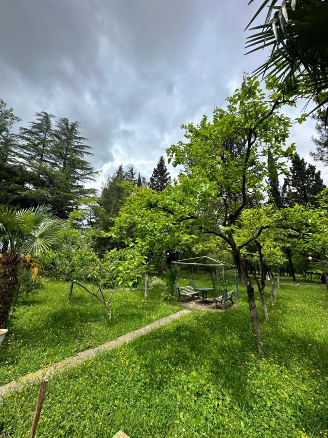 Imeri Park Hotel Koutaïssi Extérieur photo